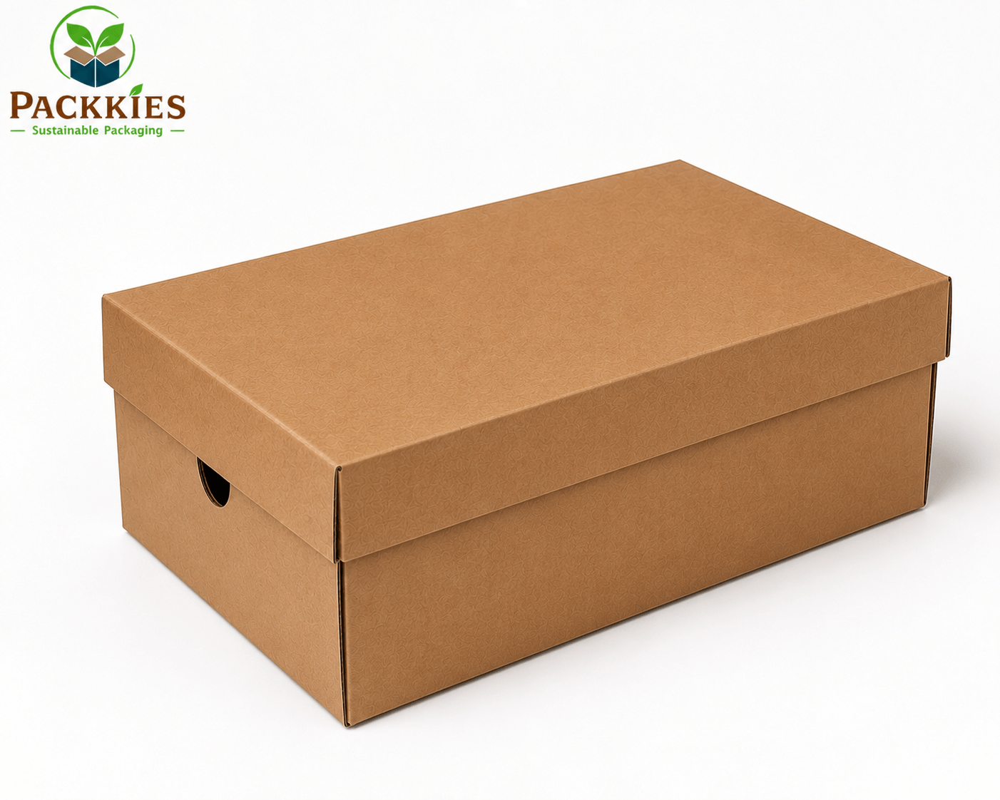 Large Shoe or E-commerce Box