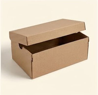 Shoe Box - Kraft