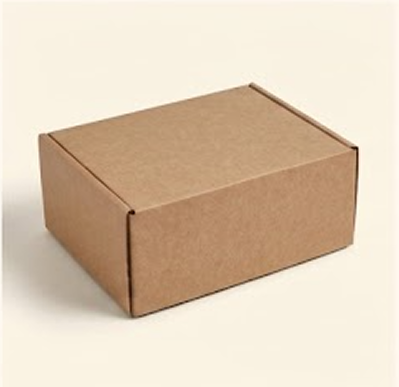 Mailing Box - Kraft
